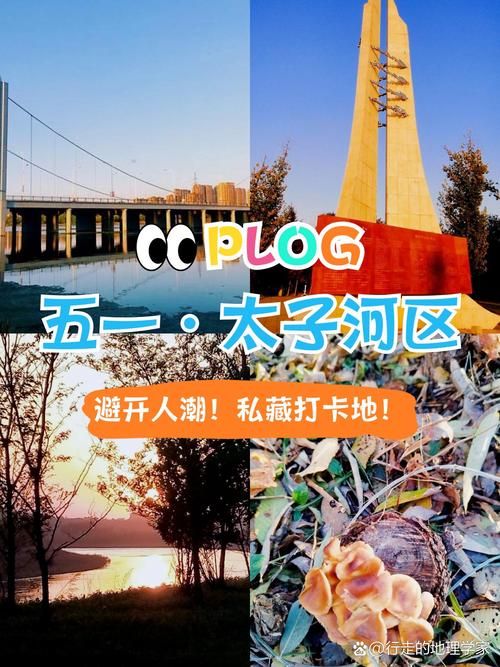 7地新增重症3例均在辽宁辽阳太子河区/辽阳太子河疫情