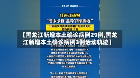 【全国新增2例确诊其中本土29例_全国新增本地确诊病例31例】