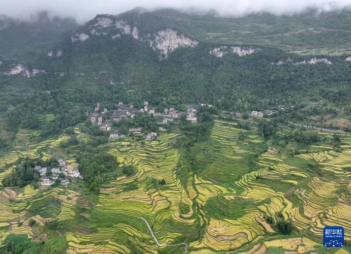 酉阳土家族苗族自治县近期新增破15_酉阳发布