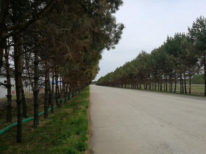 抚远新增阳性感染者27例,均在甘肃省平凉市庄浪县/抚远属于哪个省哪个市