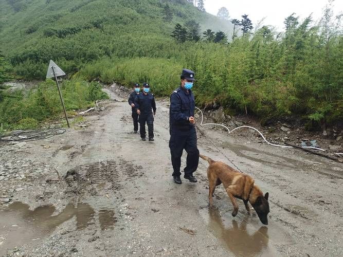 泸水最新疫情临床(泸水市疫情防控公告)