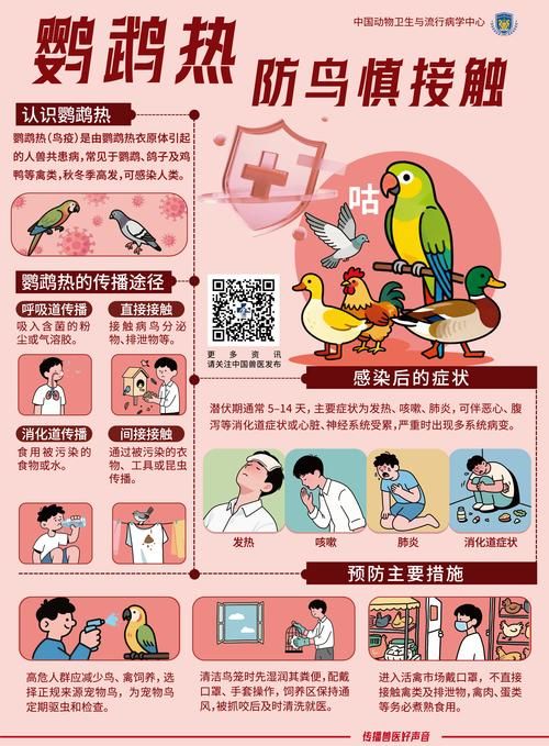 山东省聊城市莘县地区有没有发现疫情/聊城莘县防疫最新规定