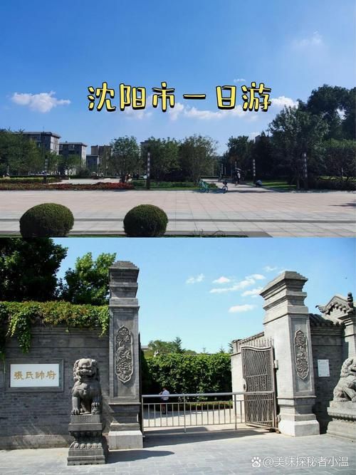 为何新增疫情沈河区(沈阳沈河区疫情怎么样)