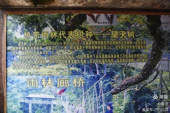勐腊县近期新增破27:勐腊县确诊病例