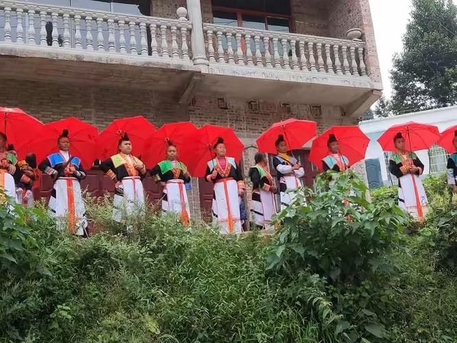 【西秀区新增阳性感染者20例,均在东乡族自治县,今日西秀区新闻】