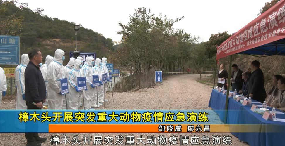 广东东莞樟木头镇几个地区有疫情发生_东莞樟木头现状