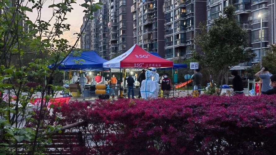 西塞山区地区疫情管控严不_西塞山小区