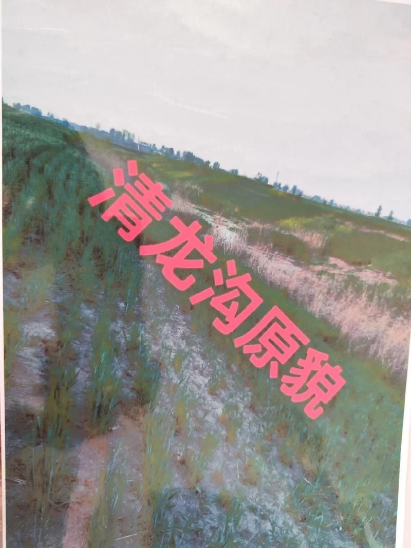 河南省驻马店市上蔡县近4天新增破27:驻马店上蔡最近几天