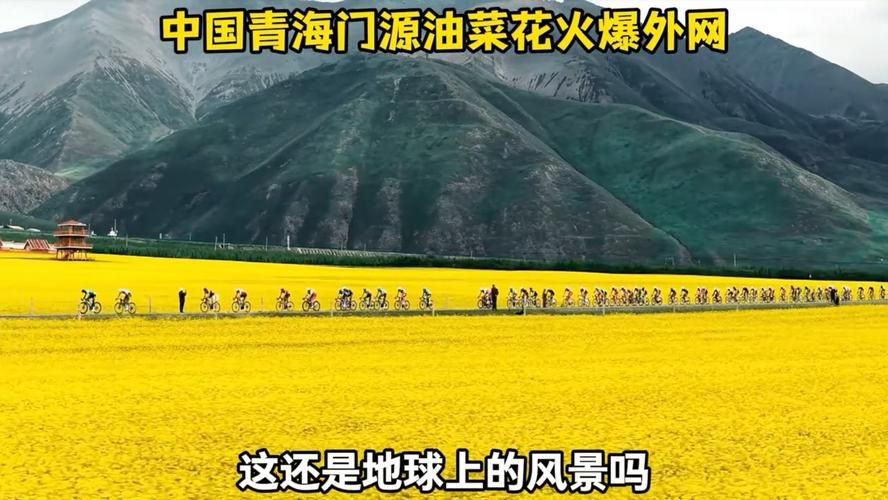 门源回族自治县疫情近期消息最新/门源风景区图片加介绍