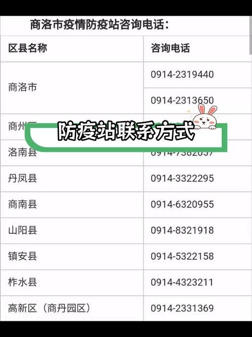 疫情公告钟楼区最新/钟楼区防疫指挥部电话