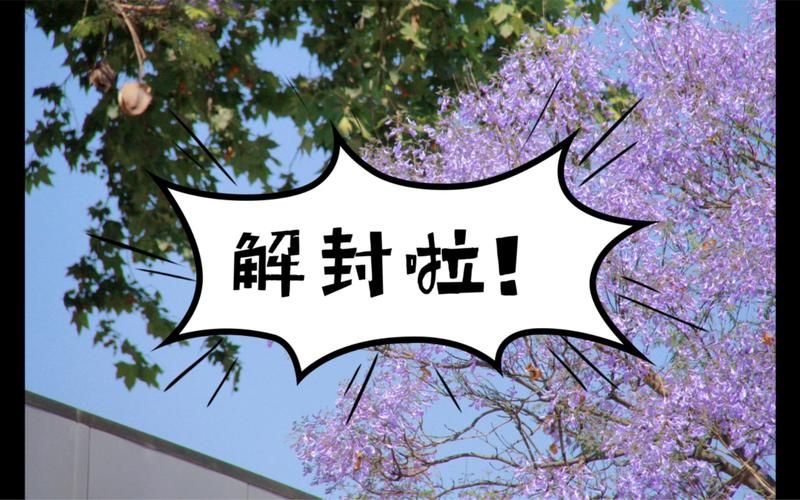 河南平顶山卫东区最新通告:所有人员解封_平顶山解封通知