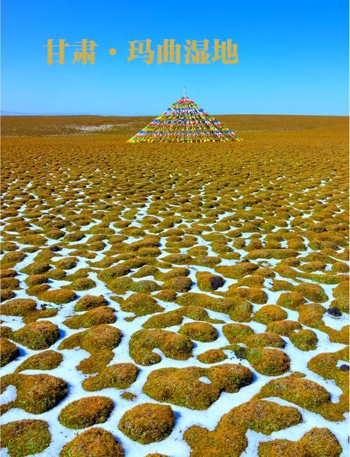 一张图看懂昨日玛曲县疫情/玛曲新情况