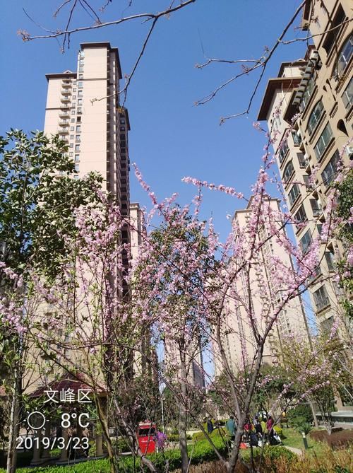 【文峰区什么时候可以足不出户_文峰区简介】