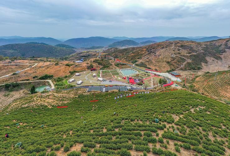 专家:武宁县每年或现多个感染高峰/武宁县防疫防控最新消息