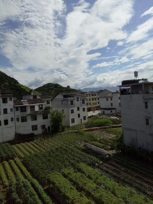 湖南省湘西土家族苗族自治州龙山县10月20日重症曲线图表_湖南湘西州龙山县新型肺炎