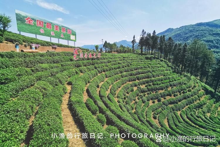 陕西汉中镇巴县近6天最新消息疫情/陕西汉中镇巴图片