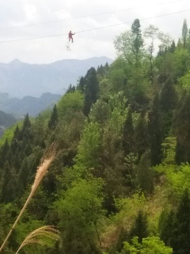 疫情分布图最新印江土家族苗族自治县_印江防疫