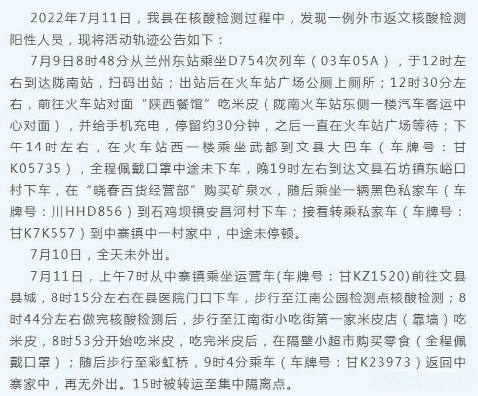 【甘肃陇南文县最新疫情,甘肃陇南 疫情】