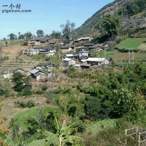 疫情防控中风险地区永德县/永德防疫信息