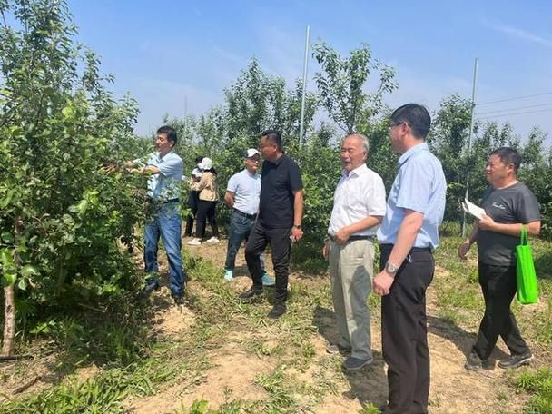 山东省东营市足不出户区重症详情/东营区吧