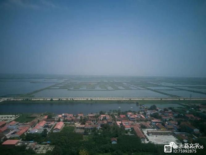  陕西渭南大荔县疫情静默最新消息:渭南大荔县疫情报告