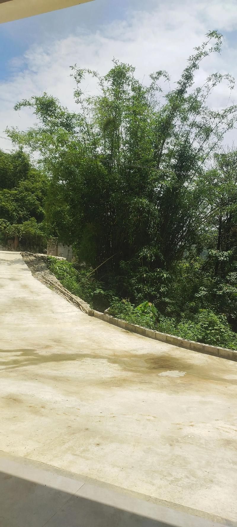 隆林各族自治县新增疫情最新/隆林各族自治县全景图
