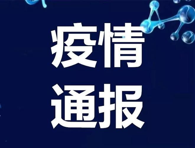 疫情黑龙江省双鸭山市最新情况:疫情黑龙江省双鸭山市最新情况报告