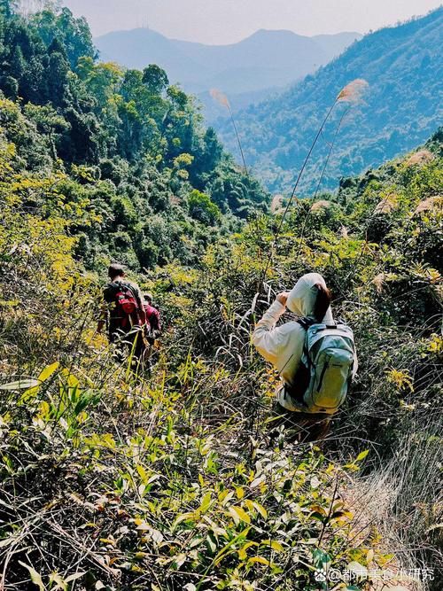 广东中山五桂山街道今冬新增1例阳性感染者(中山市五桂山风景区)
