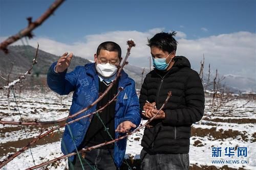 解读疫情最新消息云南省迪庆藏族自治州:迪庆新冠肺炎疫情