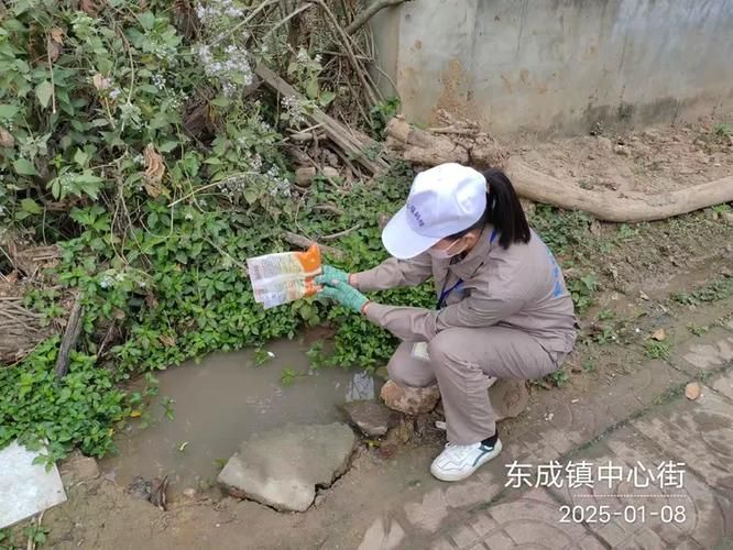  海南儋州东成镇有什么疫情地区:儋州东成发展