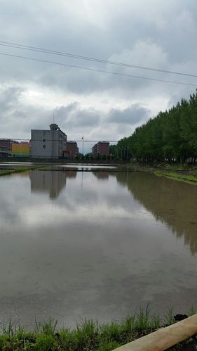 黑龙江省鸡西市鸡东县算是疫情风险地区吗_鸡西和鸡东是一个市吗