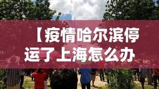 【今日疫情31省份新增情况_今天全国31省市最新疫情】