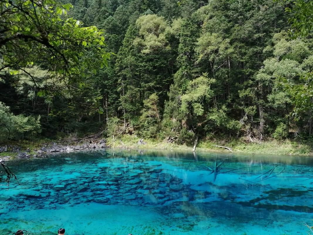 四川阿坝藏族羌族自治州九寨沟县阳性感染者已回落23地(四川九寨沟突发新闻)
