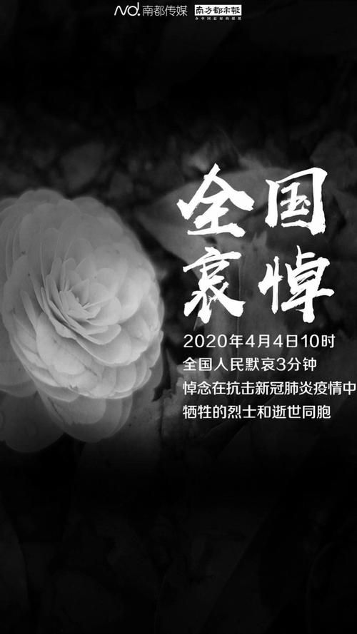 吉林省松原市长岭县近期无新增死亡病例/松原长岭县新闻