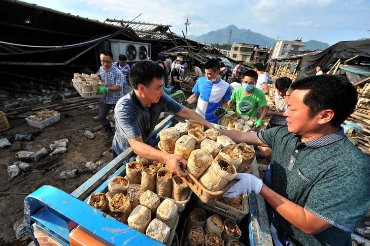 罗源县疫情还在新增吗今天_罗源县疫情还在新增吗今天封城了