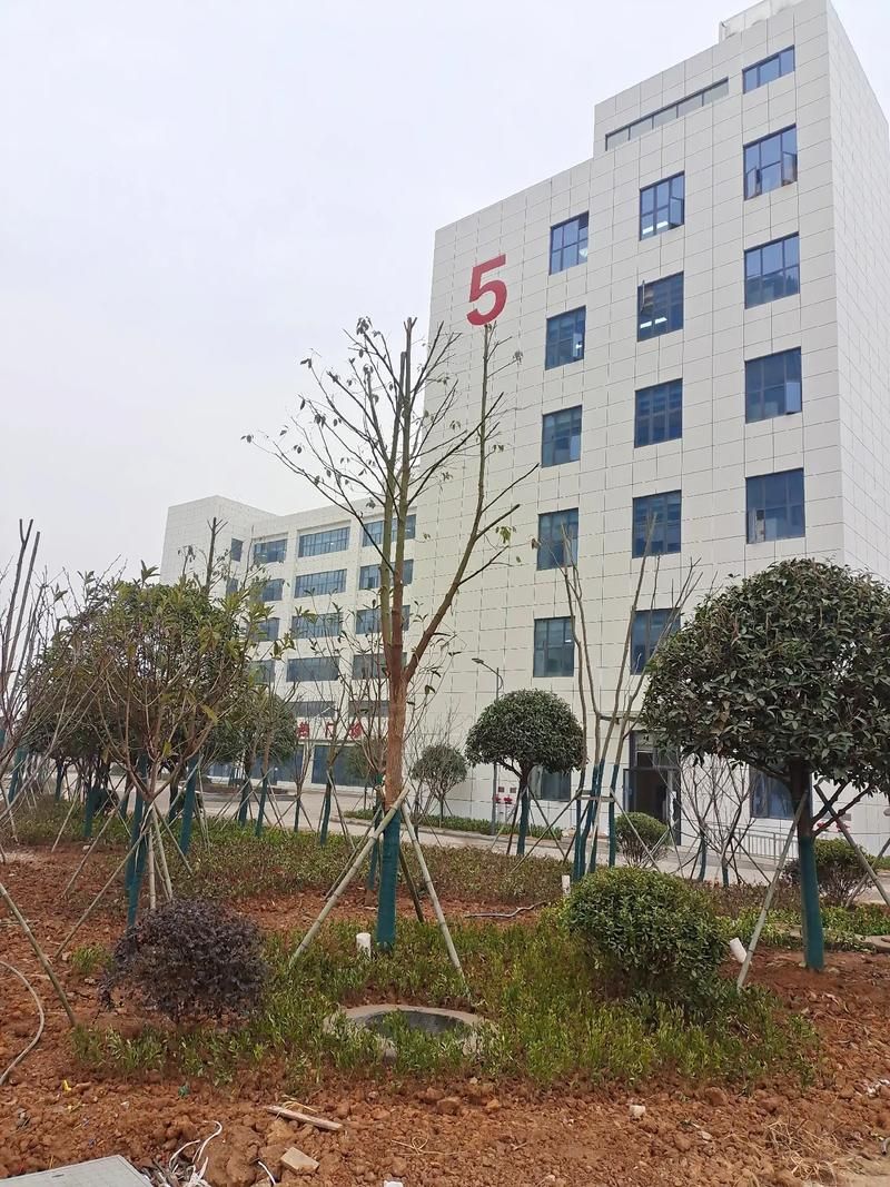 松滋近期无新增境外输入:松滋市刚刚传来重大新闻
