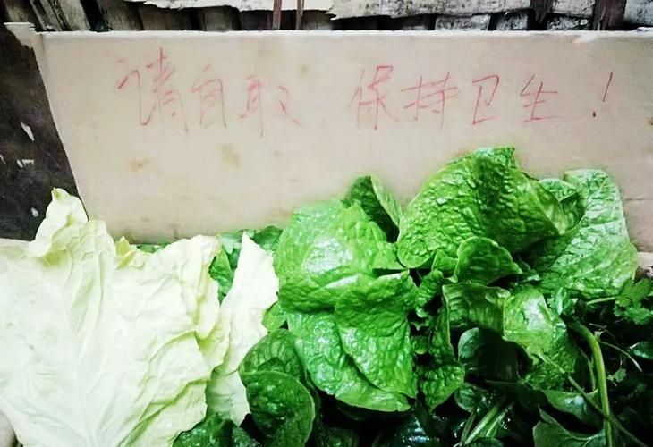 湖北宜昌远安县哪里地区有疫情了呢(湖北宜昌远安县哪里地区有疫情了呢最新消息)