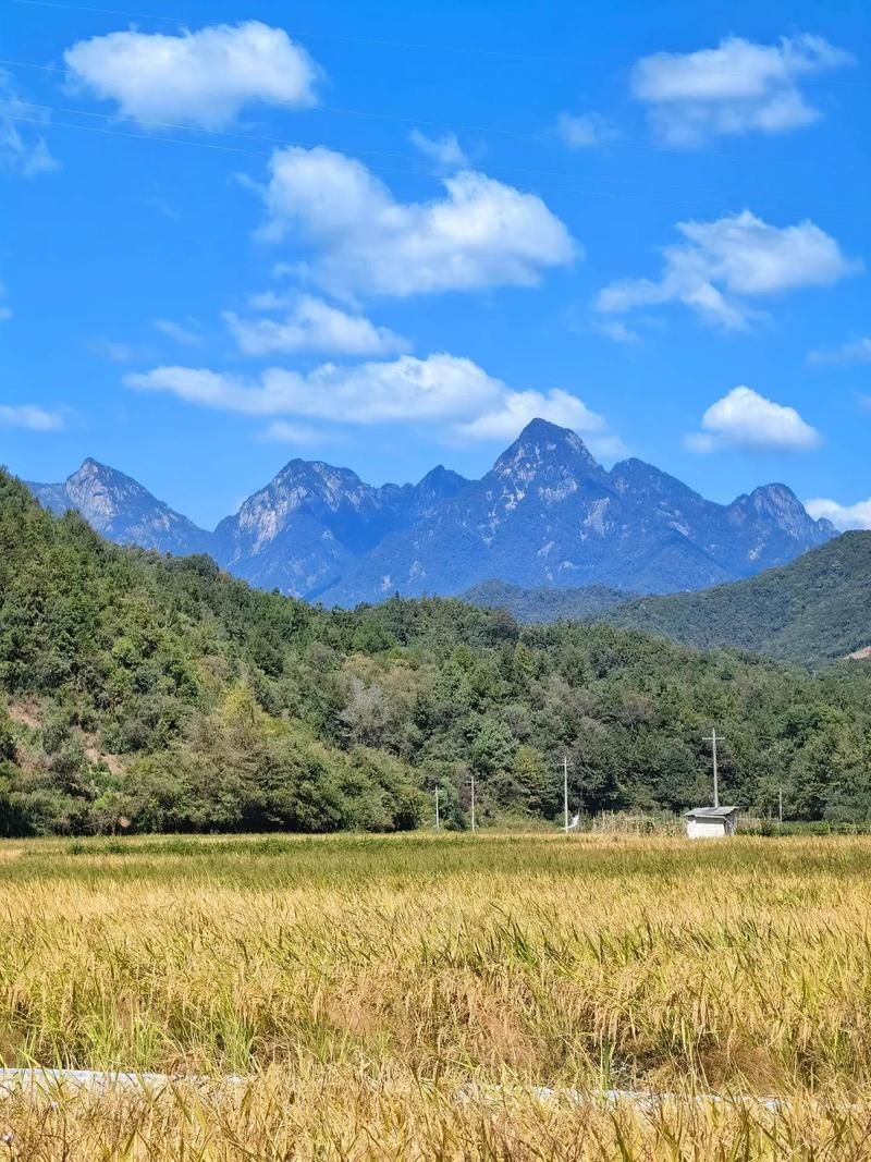 安徽省黄山市祁门县算是疫情风险地区吗:安微黄山祁门县在哪里