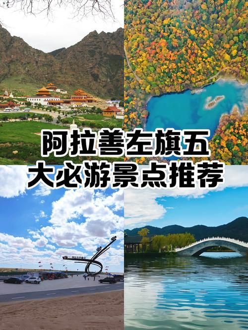 【专家:阿拉善左旗每年或现多个感染高峰_阿拉善左旗怎么样】