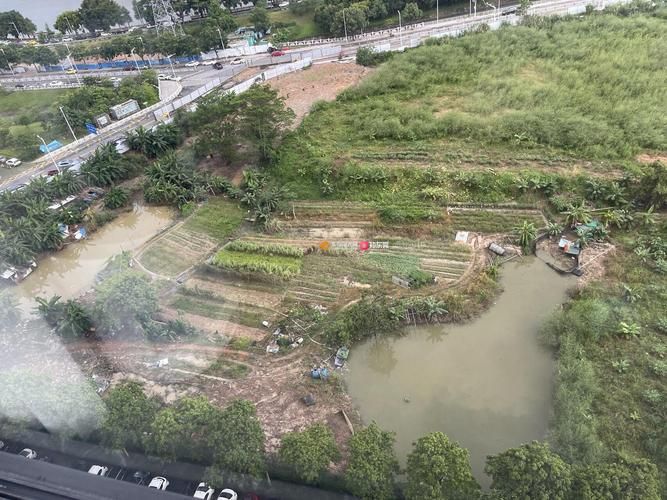 广东东莞茶山镇地区有没有发现疫情/东莞茶山镇最近消息
