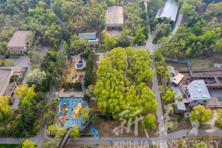 吉林省长春市绿园区疫情严重吗(长春市绿园区2026年最新消息)