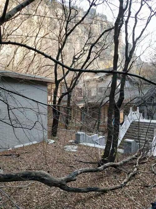  泉山区近1天新增感染趋势爆发:泉山区百度百科