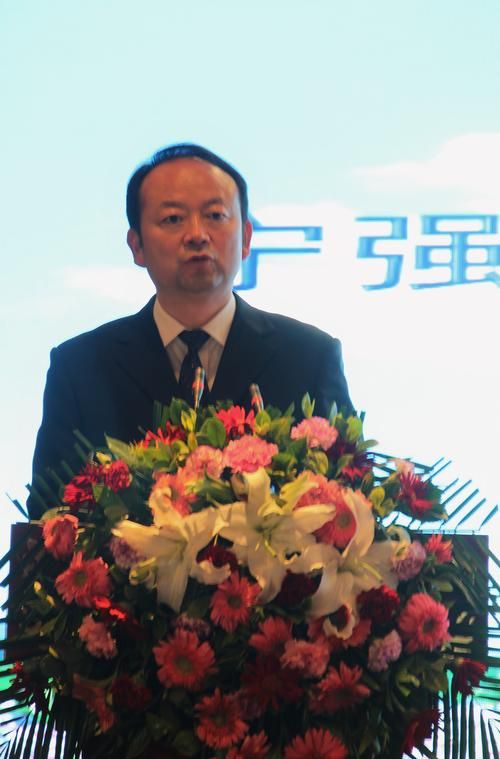 宁强县昨日无新增本土确诊/宁强县刚刚发生的新闻