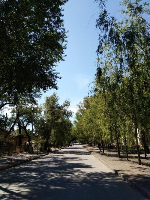查找最新疫情黑龙江齐齐哈尔昂昂溪区(天气齐齐哈尔市天气昂昂溪)