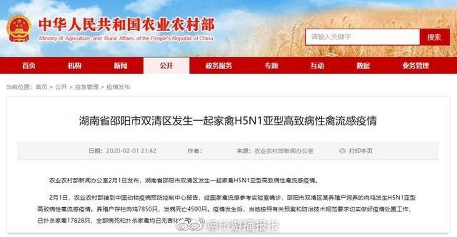 【疫情视频最新邵阳_邵阳灾情】