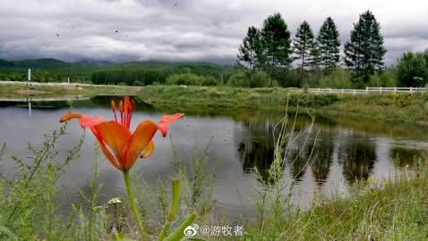 【根河市新增疫情关注_根河吧根河新闻】