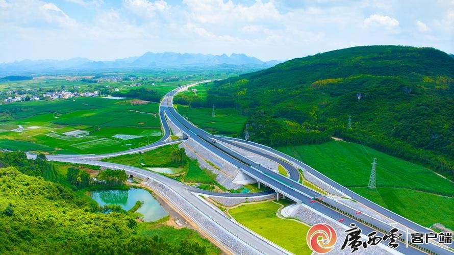  一张图看懂来宾近期最新通报:来宾新闻最新动态