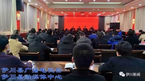 伊川县最新疫情进展信息/伊川今天上午最新新闻