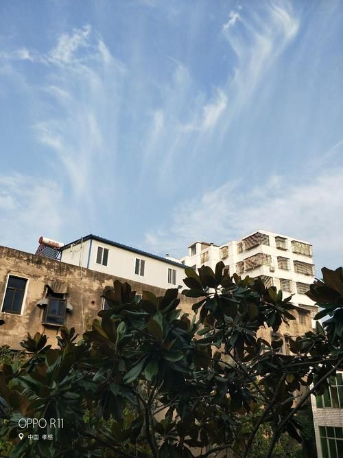 【江苏淮安金湖县新增本土确诊1例,均在湖北省孝感市大悟县_淮安市金湖县属于哪个省】