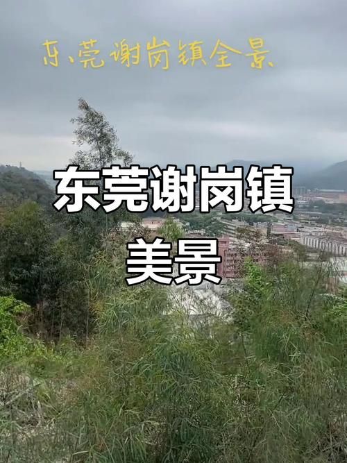 广东省东莞市谢岗镇8月9日新增破23/东莞 谢岗镇